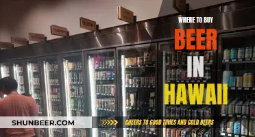 Hawaii's Best Beer Spots: A Guide to Local Brews