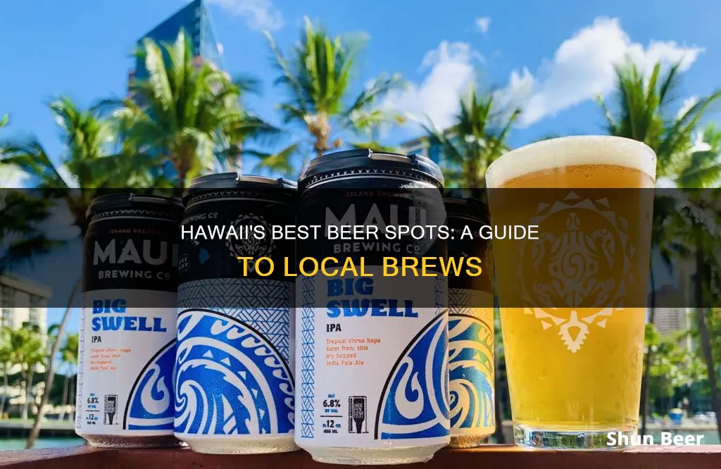 where to buy beer in hawaii