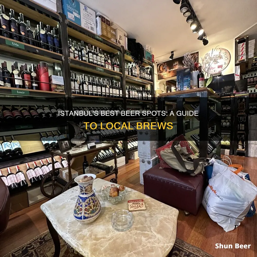 where to buy beer in istanbul