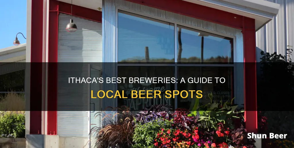 where to buy beer in ithaca