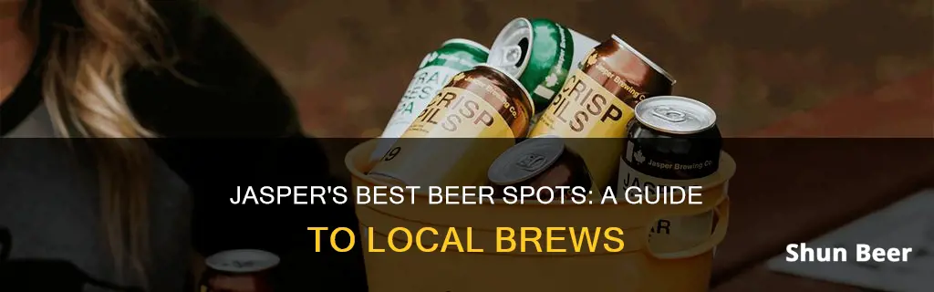 where to buy beer in jasper