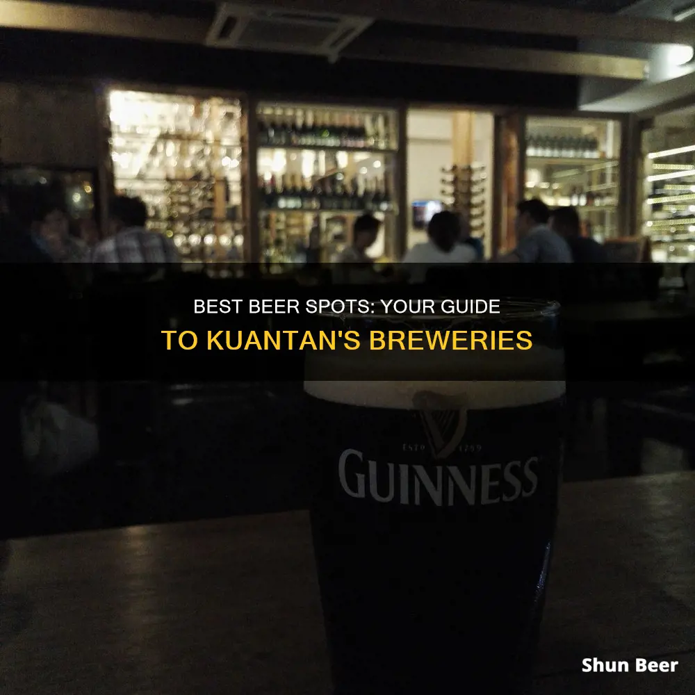 where to buy beer in kuantan