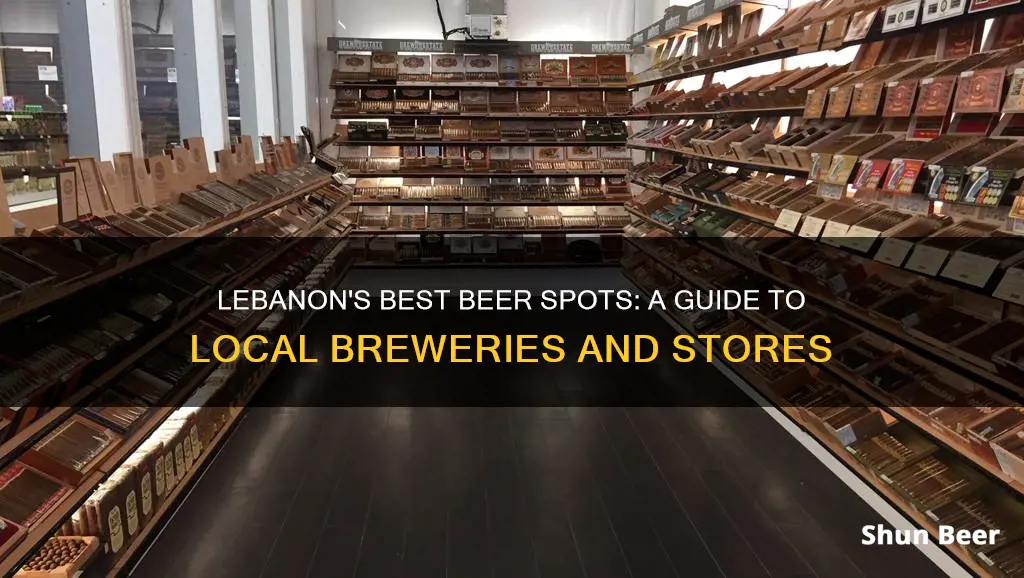 where to buy beer in lebanon