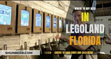 Legoland Florida's Best Beer Spots: A Guide for Enthusiasts