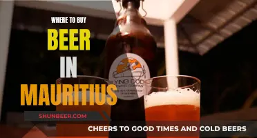 Mauritius' Best Beer Spots: A Guide to Local Brews