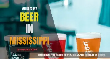 Mississippi's Best Beer Spots: A Guide to Local Breweries and Stores