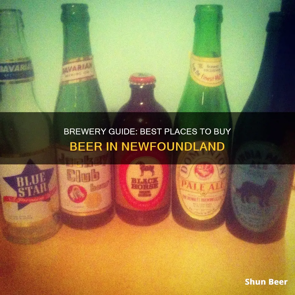 where to buy beer in newfoundland