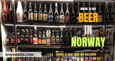 Norway's Best Beer Stores: A Guide to Local Brews