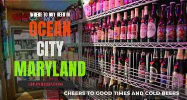 Ocean City's Best Beer Spots: A Guide to Local Breweries