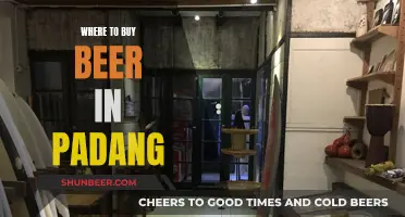 Padang's Best Beer Spots: A Local's Guide