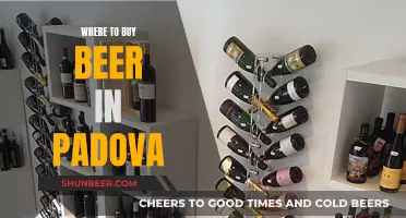 Padova's Best Beer Spots: A Guide to Local Breweries