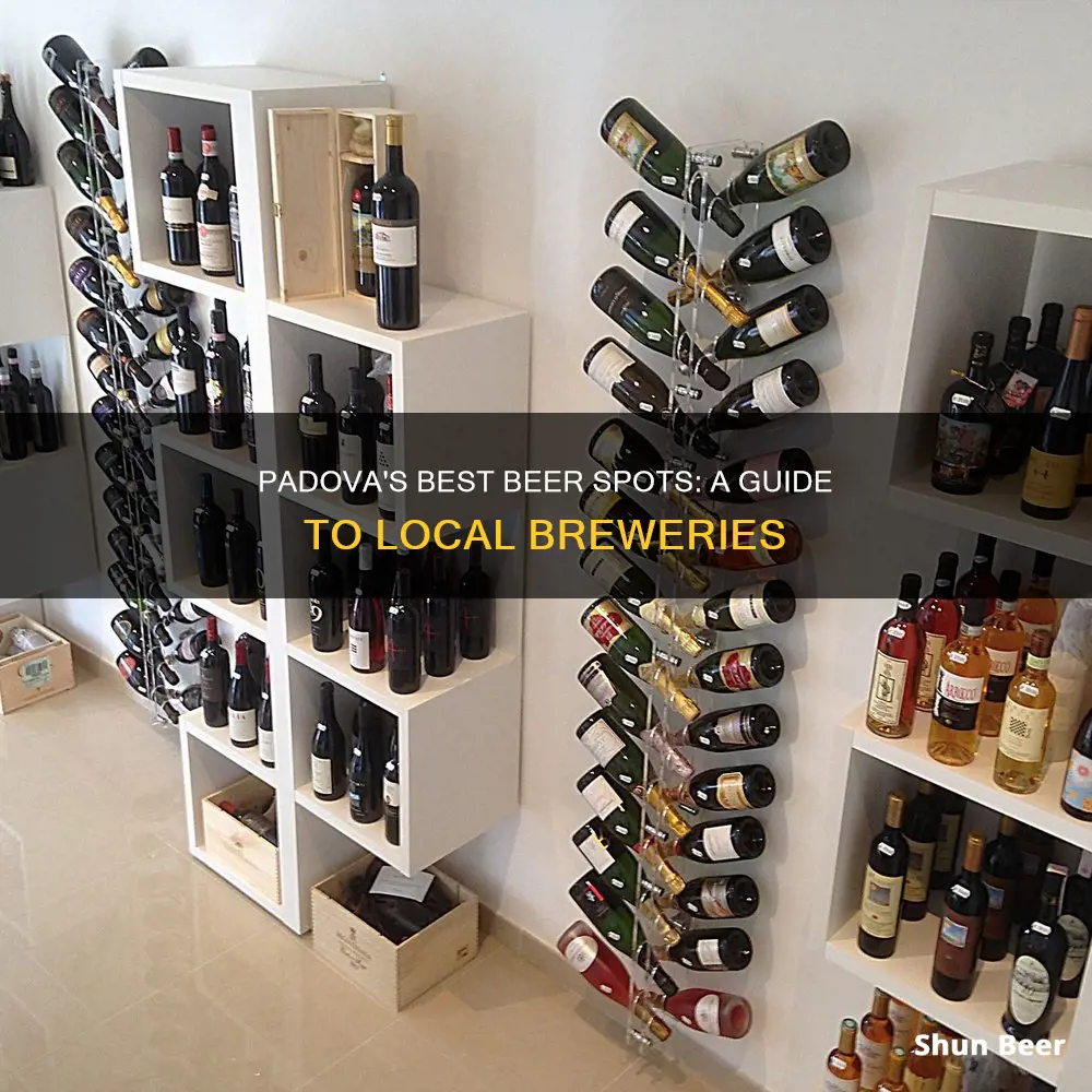 where to buy beer in padova