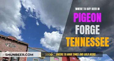 Pigeon Forge Beer Guide: Top Spots to Buy Your Favorite Brews