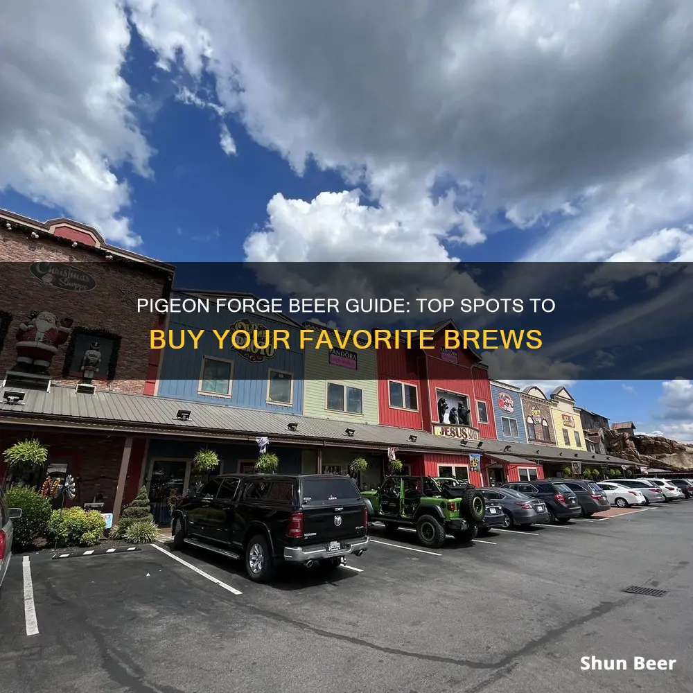 where to buy beer in pigeon forge tennessee