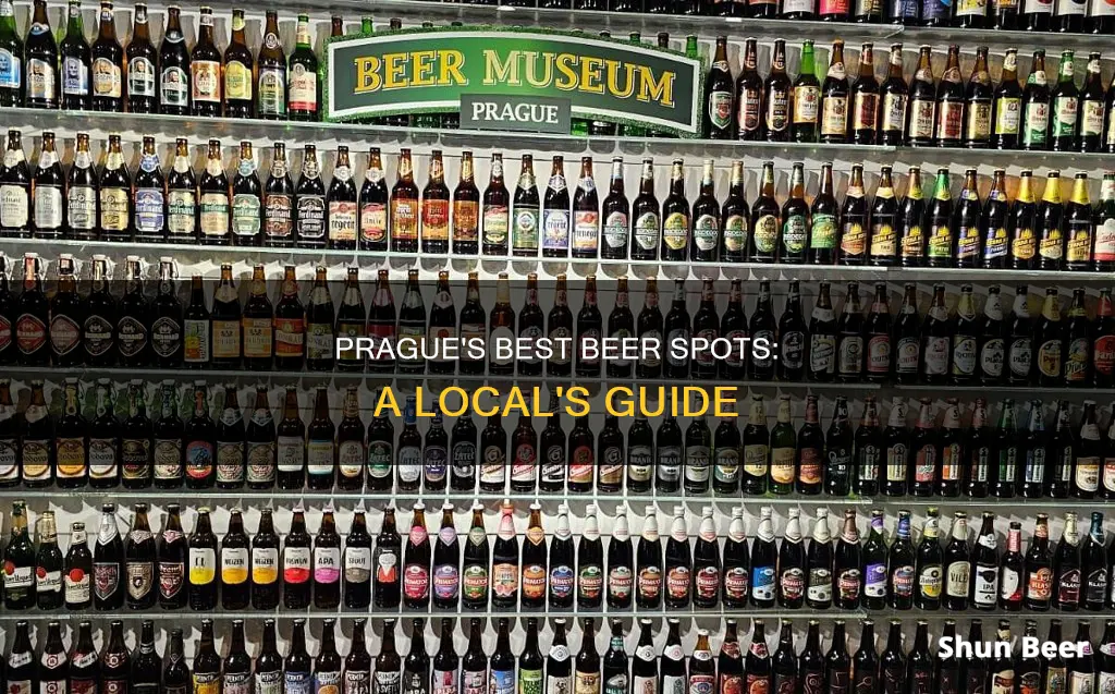 where to buy beer in prague