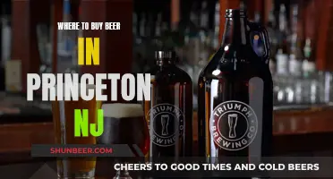 Best Beer Spots in Princeton, NJ: A Guide