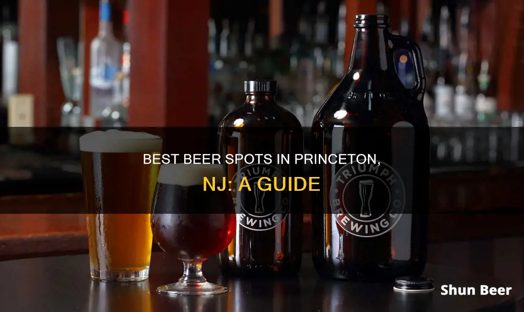 where to buy beer in princeton nj