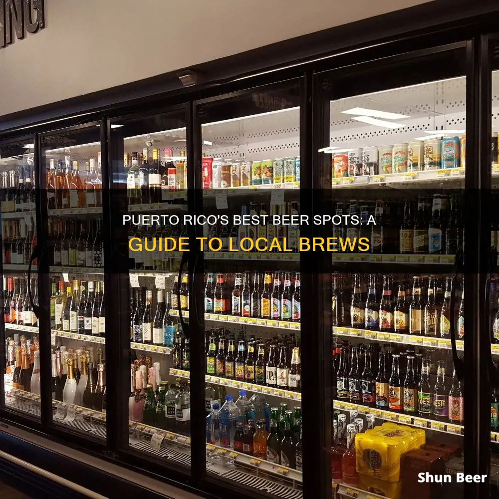 where to buy beer in puerto rico