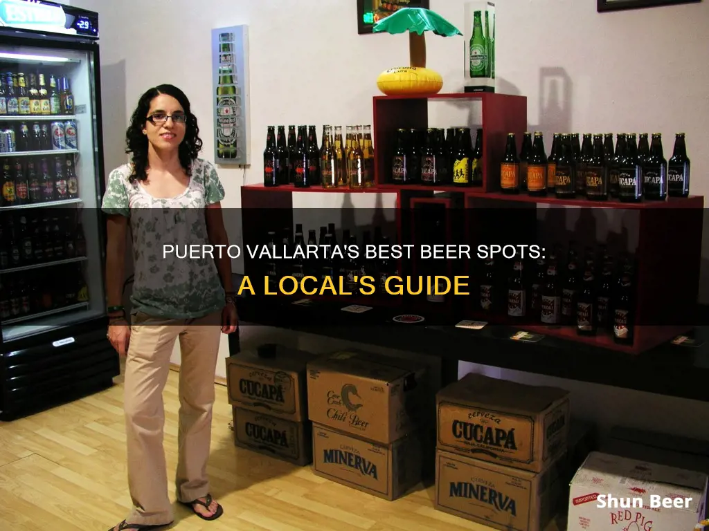 where to buy beer in puerto vallarta