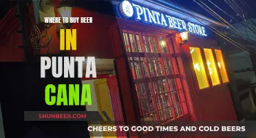 Punta Cana's Best Beer Spots: A Guide to Local Brews