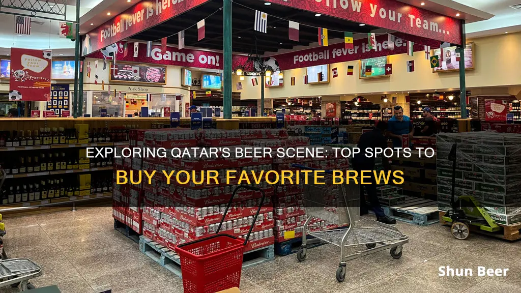 where to buy beer in qatar