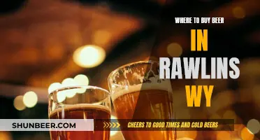 Best Beer Spots in Rawlins, WY: Your Guide