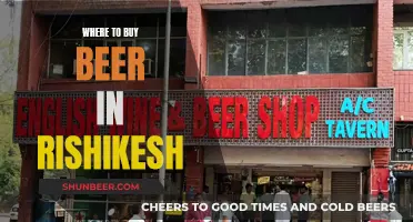 Rishikesh's Best Beer Spots: A Local's Guide