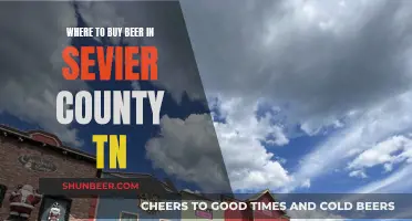 Best Beer Spots in Sevier County, TN: A Guide