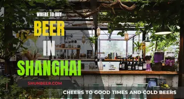 Shanghai's Best Beer Spots: A Guide to Local Brews