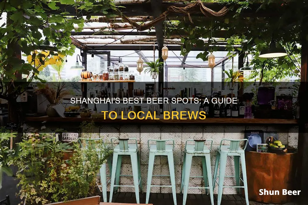 where to buy beer in shanghai