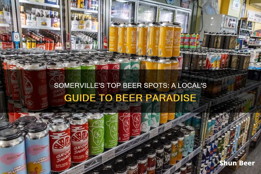 where to buy beer in somerville