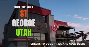 St. George Beer Guide: Top Spots for Craft and Local Brews