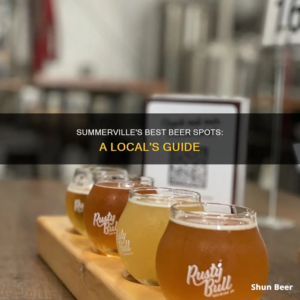 where to buy beer in summerville