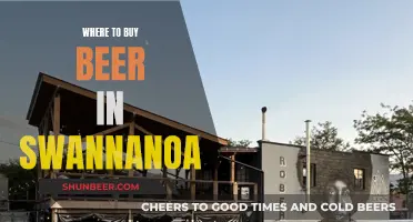 Swannanoa's Best Beer Spots: A Local's Guide