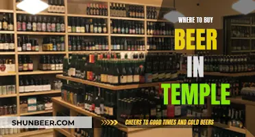 Temple Beer Haven: Top Spots for Craft Beer Lovers