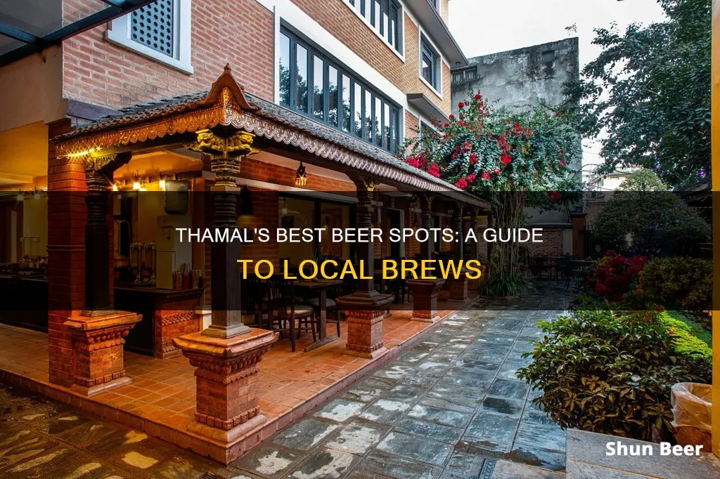 where to buy beer in thamal kathmandu