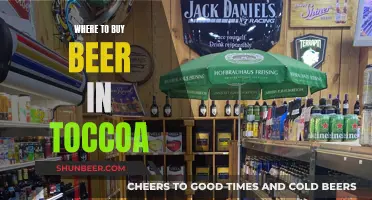 Toccoa's Best Beer Spots: A Local's Guide