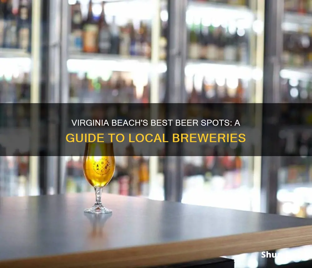 where to buy beer in virginia beach