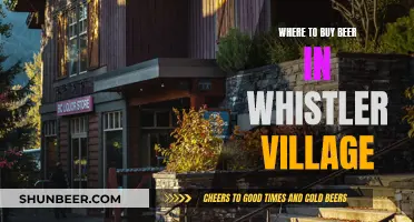 Whistler Village's Top Beer Spots: A Guide to Local Brews