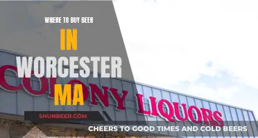 Worcester Beer Buyer's Guide: Top Spots for Craft and More