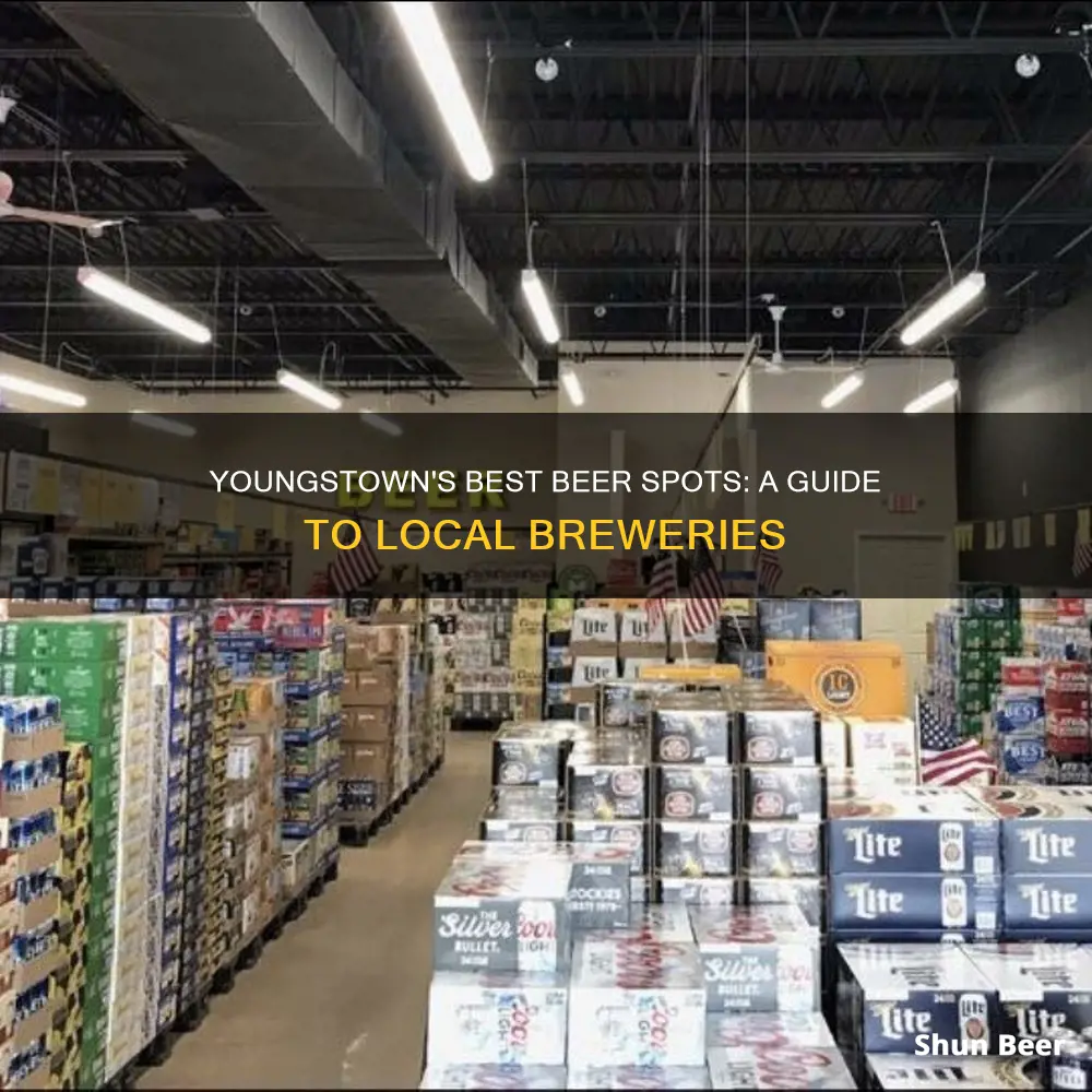 where to buy beer in youngstown