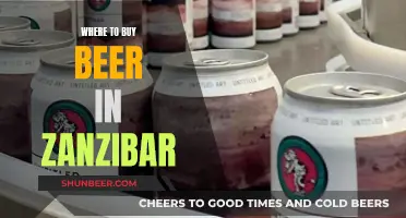 Zanzibar's Best Beer Spots: A Guide to Local Brews