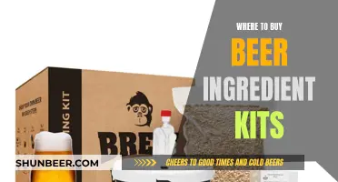 Craft Beer Supplies: Top Sources for Brewing Kits