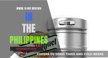 Best Beer Kegs: Top Stores in the Philippines