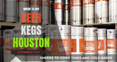 Houston's Best Beer Kegs: Your Local Guide to Buying