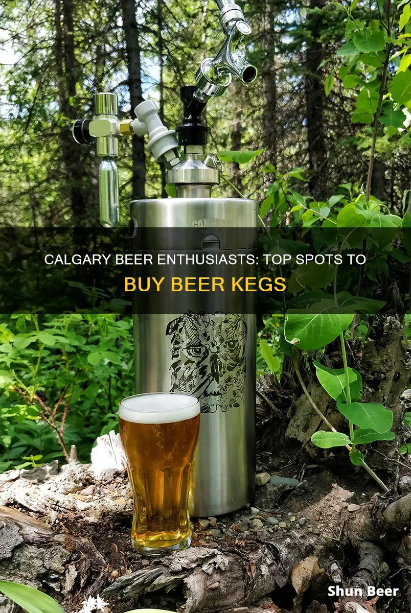 where to buy beer kegs in calgary