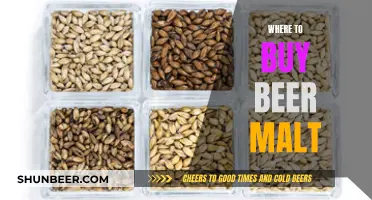 The Ultimate Guide to Beer Malt Sources