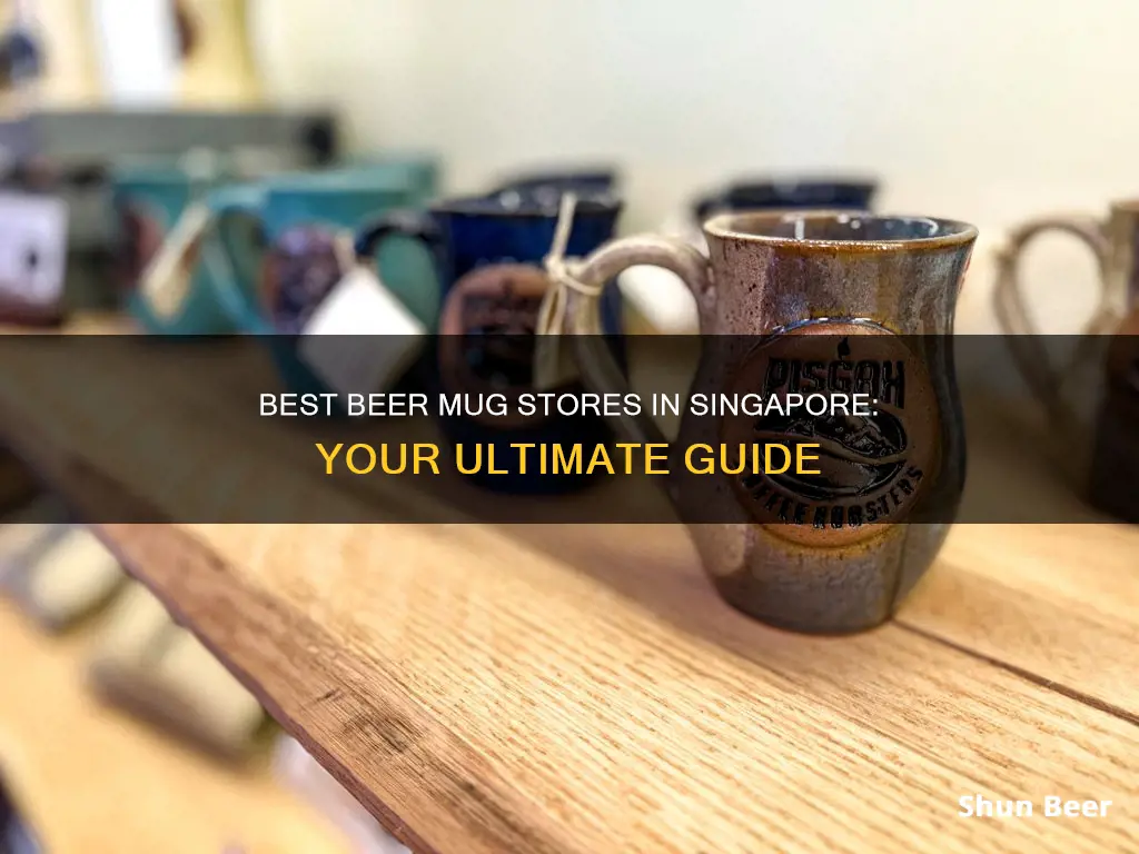 where to buy beer mugs in singapore