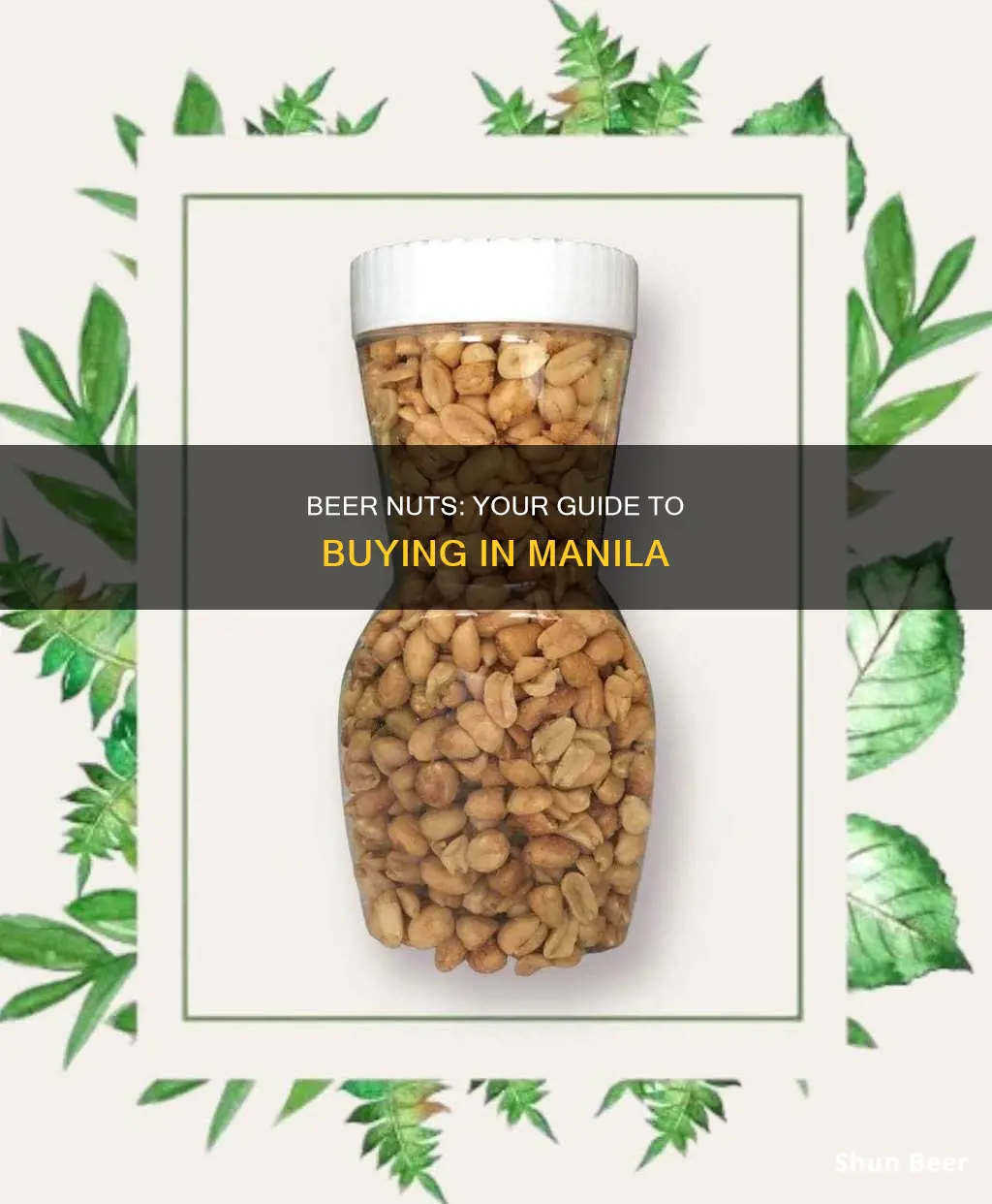 where to buy beer nuts in manila