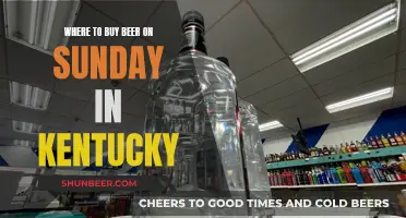 Find Your Sunday Brew: Kentucky's Best Beer Spots